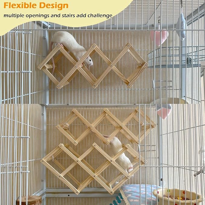 Kiln-Dried Wood Rat Climb Toy, Hanging Cage Ladder Activity (S, 1pc) | Natural Rat Cage Bridge, Multiple Openings & Directional Ramps Offer Challenges to Satisfy Rats' Instincts for Explore & Play