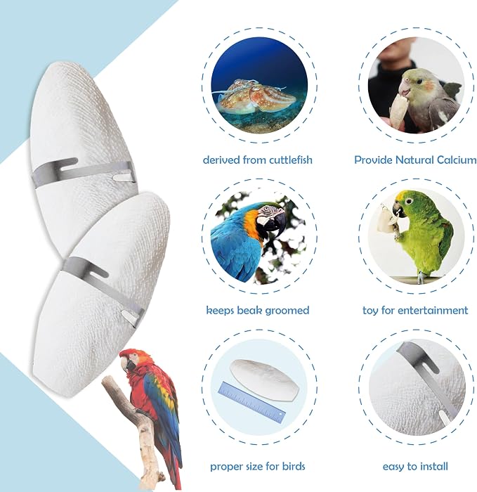 Bird Cuttlebone for Parakeets, Cuddle Bone, Birds Calcium, 5"-5.5", 6 Pcs | Cuttlefish Bone for Sharp Beaks, Natural Calcium for Parrots Cockatiels Budgie