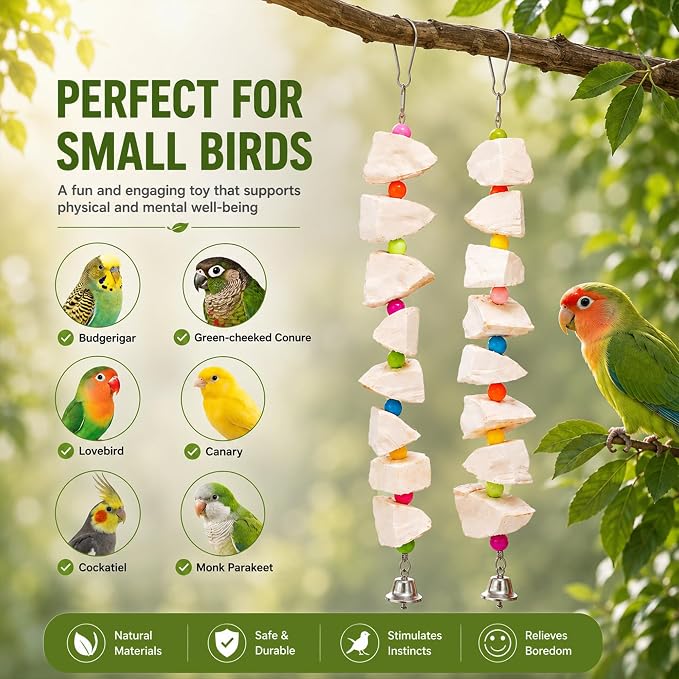 2 Pack Bird Toys with Cuttlebone & Beak Grinding Stone–Cage Accessories for Parakeets, Budgies, Cockatiels, Lovebirds, Green Cheeks & Small to Medium Birds