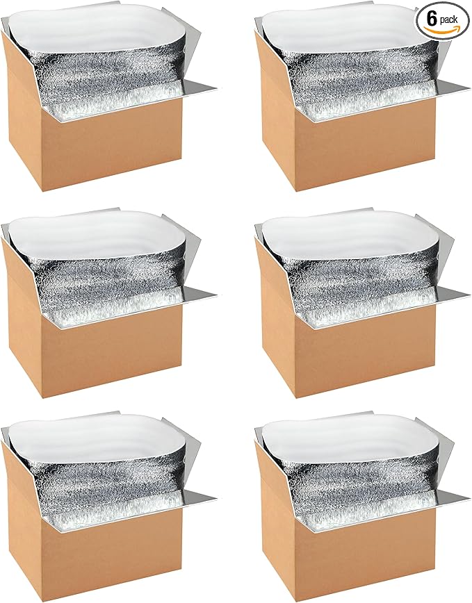 Simple deluxe 6 Pack Insulated Shipping Boxes with Aluminum Foil Liner,Thermal Insulation Cold Pack Shipping Boxes for Frozen, Reusable Styrofoam Cooler Box, Small Mailing Box, 12''x10''x7''