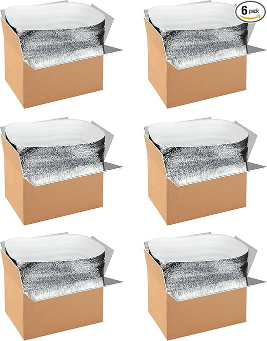 Simple deluxe 6 Pack Insulated Shipping Boxes with Aluminum Foil Liner,Thermal Insulation Cold Pack Shipping Boxes for Frozen, Reusable Styrofoam Cooler Box, Small Mailing Box, 12''x10''x7''