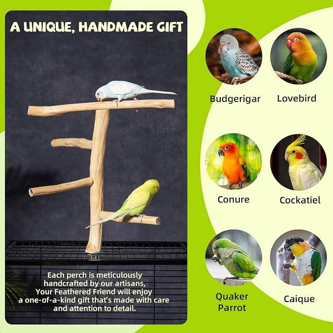 Bird Perch for Top of Cage, Natural Wood Play Stand