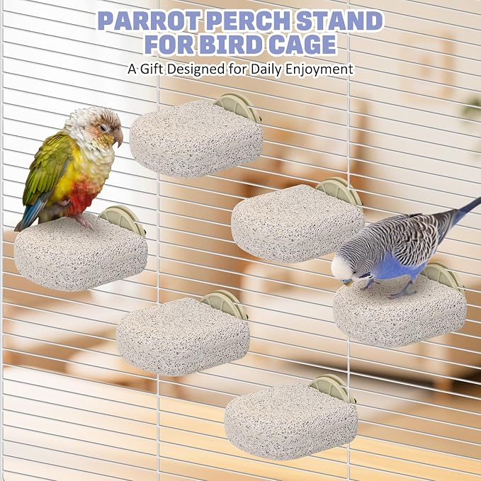 BNOSDM 6PCS Bird Beak Grinding Stone Perch Cage Accessories Parakeets Stand | 2.8*2.6in Natural Volcanic Lava Stone,calcium mineral blocks for birds, bird platform for cage ,Small Bird Toys for Conures
