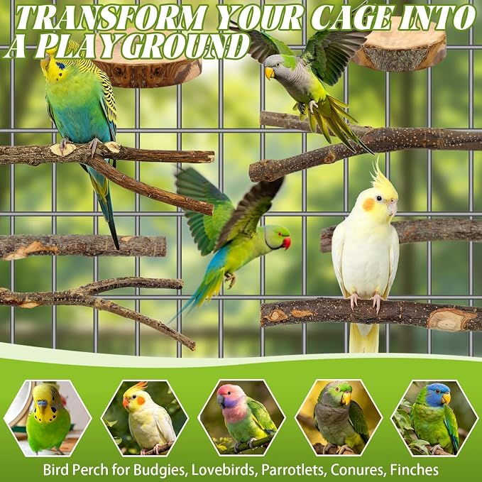 8 Pcs Natural Wood Bird Perch Set for Parakeets & Budgies | Ideal for Small/Medium Birds (Budgies, Conures) | Bark Textures for Foot Health | Tool-Free Wing-Nut | Safe Chewing