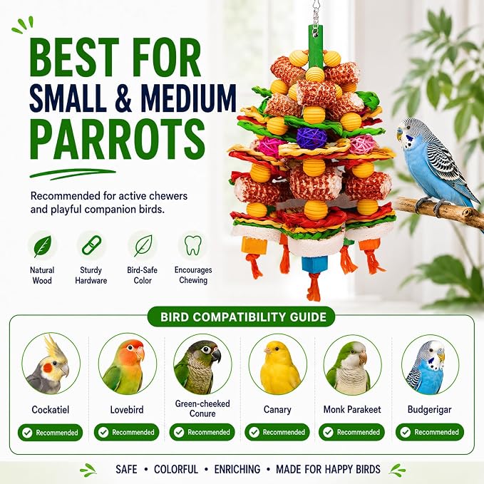 Bird Toys Natural Corn Cob Loofah Chew Toys for Small Medium Parrots | Bird Chew Toys,Cage Accessories,Natural Corn Cob Loofah Slices,for Cockatiels Lovebirds Small&Medium Parrots,Keep Bird Active