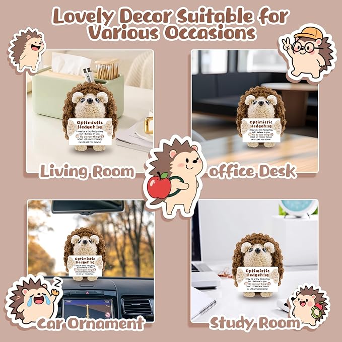 Mini Cute Hedgehog Gifts, Best Friend Friendship Gifts for Women Men | Crochet Hedgehog Cute Decor Inspirational Gift for Adult Coworker Friend