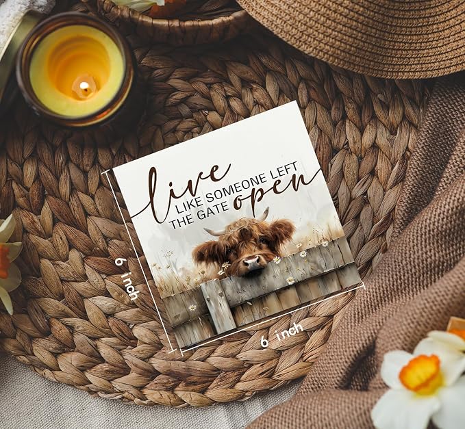 Highland Cow Sign - Farmhouse Western Animal Office Kitchen Bedroom Decor,Rustic Farm Live like Someone Left the Gate Open Home Decor Signs,Highland Cow Gifts for Women,6x6