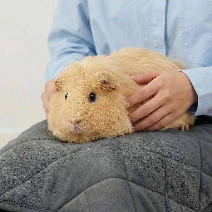 Guinea Pig Fleece Bedding,49"x24" Cage Liner 2 Pack for Midwest Cage Thick | Washable Bedding, Super Absorbent, Non-Slip, Waterproof Reusable Rabbit Mat, Machine Washable, Small Animal Cage Accessory