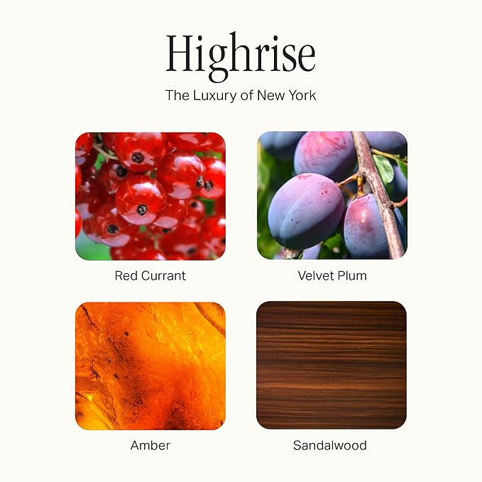 Preston Lane Luxury Hand Wash, Highrise Scent | Hydrating and Nourishing Formula with Organic Oils, Active Kiwi and Apple Water, and Vegetable Glycerin | Gentle Cleansing, Vegan and Cruelty Free