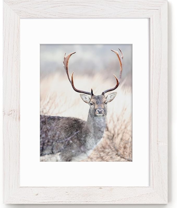 Fun Memories 11x14 Picture Frame-Real Tempered Glass, Rustic Wooden Photo Frames 11 x 14, Display Pictures 8x10 with Mat or 11 x14 Without Mat, 11x14 Picture Frame for Wall Mounted, White, 1 Pack