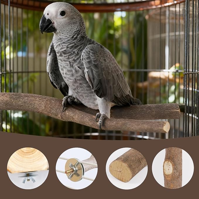 8 PCS Bird Perch Set | Natural Birch Wood, Straight & Forked Perches with Platforms, For Parakeets, Cockatiels, Conures, Lovebirds, Cage Accessories
