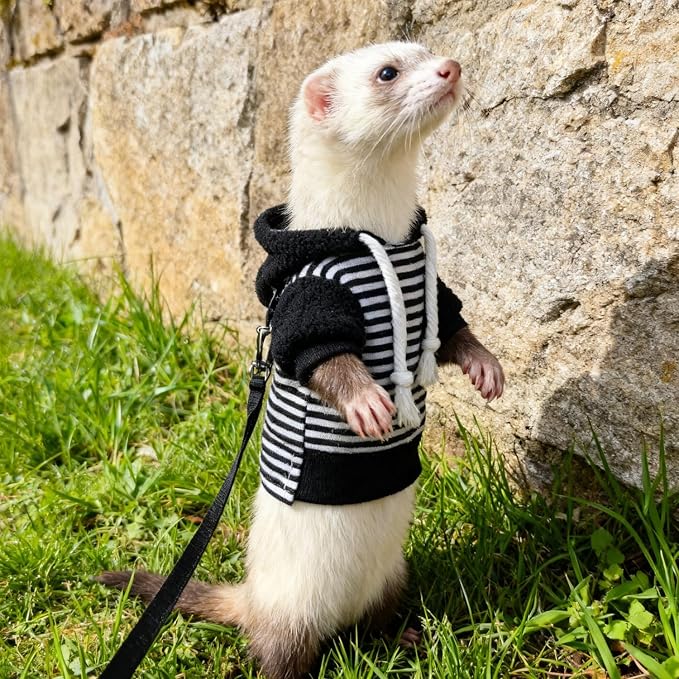 Ferret Harness and Leash Set Ferret Clothes Small Animals Harness Hoodies for Ferrets and Other Small Pet Accessories (Black White-Small)