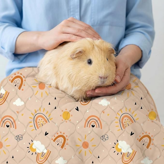 Guinea Pig Cage Liner, 59"x31" Bedding for C&C 2x4 Cage 2 Pack, Rainbow | Washable Fleece Bedding, Super Absorbent, Non-Slip, Waterproof Rabbit Mat, Machine Washable, Small Animal Cage Accessory