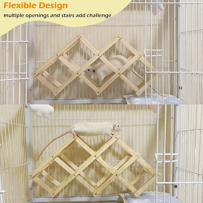 Kiln-Dried Wood Rat Climb Toy, Hanging Cage Ladder Activity (M, 2pcs) | Natural Rat Cage Bridge, Multiple Openings & Directional Ramps Offer Challenges to Satisfy Rats' Instincts for Explore & Play