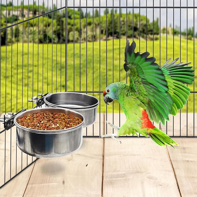 PINVNBY 2pcs Stainless Steel Bird Bowl - XL Water Dish for Parrot, Parakeet, African Greys, Conure, Cockatiels, Lovebird, Budgie, Chinchilla