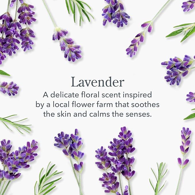 Beekman 1802 Goat Milk Body Lotion, Lavender - Scented - 12.5 oz - Hydrating & Moisturizing with Shea Butter - for Sensitive Skin - Cruelty Free - Packaging May Vary - Pump Included, Ready for Use