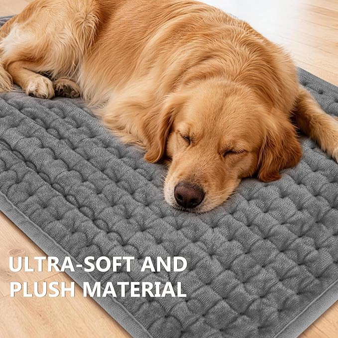 Heating Pad for Back Pain & Period Cramps Relief, 9 Heat Settings Electric Heating Pad for Neck & Shoulder, Auto Shut Off, Soft Machine Wash Fabric, Gifts for Mom, Women, 12''x24'', Gray