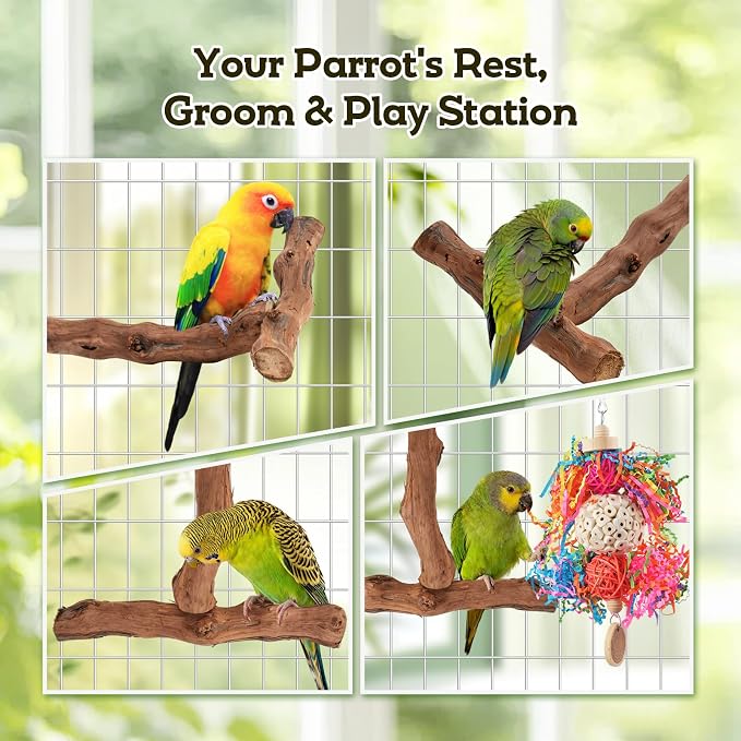 Bird Toys, Parakeet Foraging Toys, Hanging Chewing Toys with Natural Wooden Perches, Bird Cage Accessories, Suitable for Parakeets, Cockatiels, Budgies, Lovebirds & More