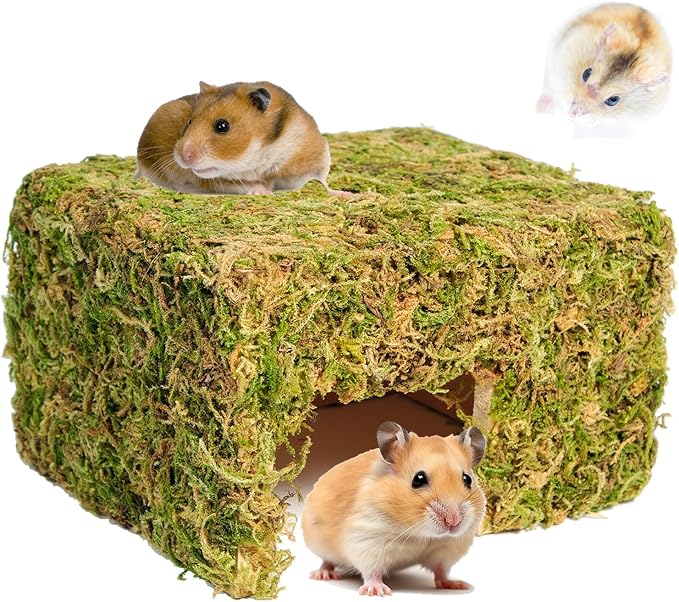 Hamster Hideout - Large, Natural Moss, Handcrafted for Syrian Hamsters, Rats & Guinea Pigs, Hermit Crab,Hedgehogs,Lizards & Other Reptiles（Square, Large）