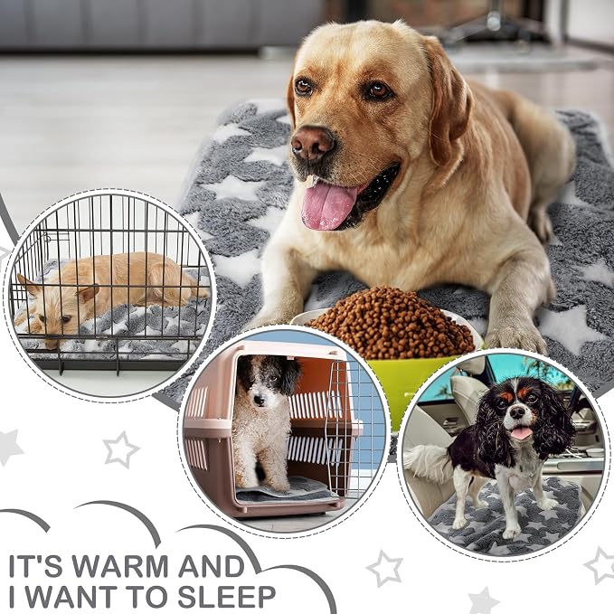 Reginary 4 Pcs Guinea Pig Fleece Blankets, Gray Star, 24 x 16 Inch | Waterproof Washable Cage Liners, Absorbent Double Layer Bedding for Guinea Pigs, Reusable Pads for Hamsters Rabbits