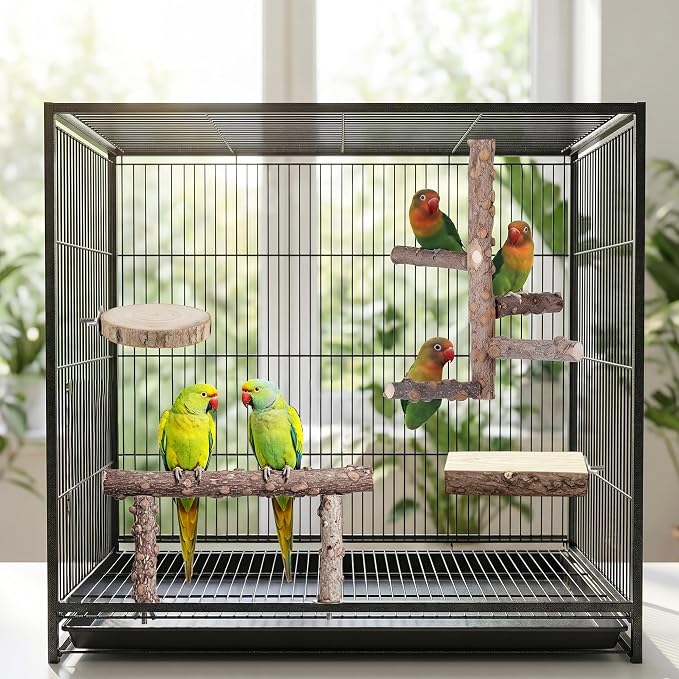 Kintor Bird Perch Set,7pcs Natural Wood Stand for Parakeet Cockatiel Conure | Natural Prickly Ash Wood,Bird Platform Branch Fork Stand,Bird perch Cage Accessories for small medium Parrot Lovebird Budgie