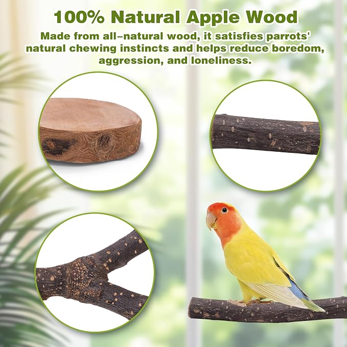 8PCS Bird Perches Set Natural Apple Wood Bird Cage Accessories Wooden Parrot Stand Hardwood Branches for Parakeets, Budgies, Cockatiels Small Bird Habitat Gym, Climbing Stand & Safe Chew Toys