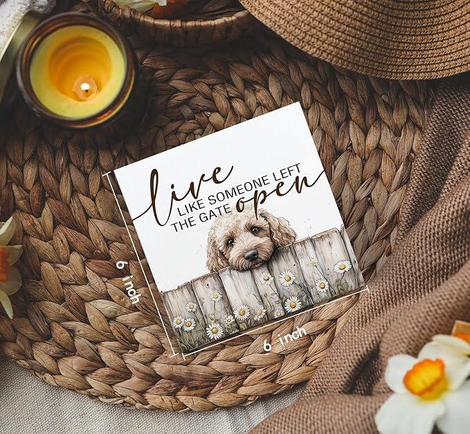 Goldendoodle Wooden Box Sign, Rustic Farmhouse Live Like Someone Left the Gate Open Signs for Home Decor,Farm Dog Office Kitchen Bedroom Decor,Goldendoodle Gifts for Kids Women Men,6x6