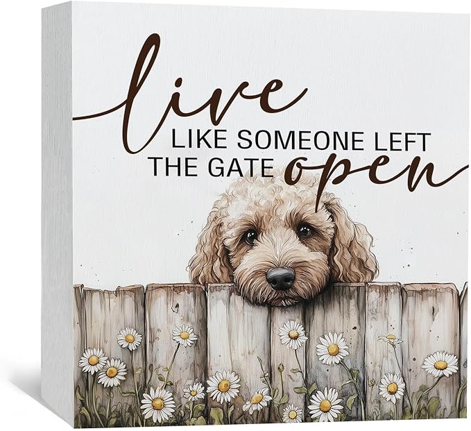 Goldendoodle Wooden Box Sign, Rustic Farmhouse Live Like Someone Left the Gate Open Signs for Home Decor,Farm Dog Office Kitchen Bedroom Decor,Goldendoodle Gifts for Kids Women Men,6x6
