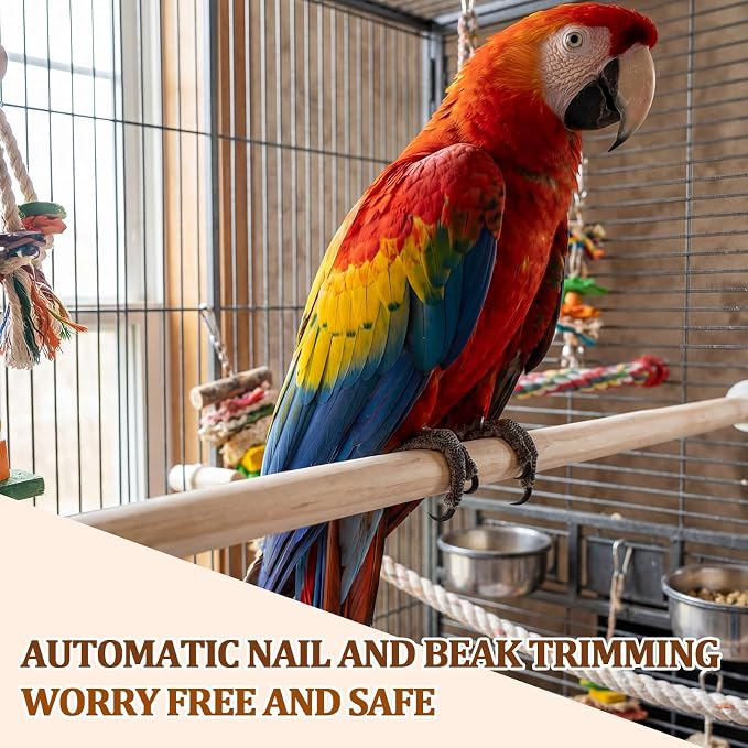 Sintuff 8 Pcs Bird Perches for Cage Accessories, Wooden Perch Rods Replacement with Double Head Slots, 0.6 Inch Diameter Natural Wood Stand for Parrot Macaw Cockatoo Parakeet (30 Inches)