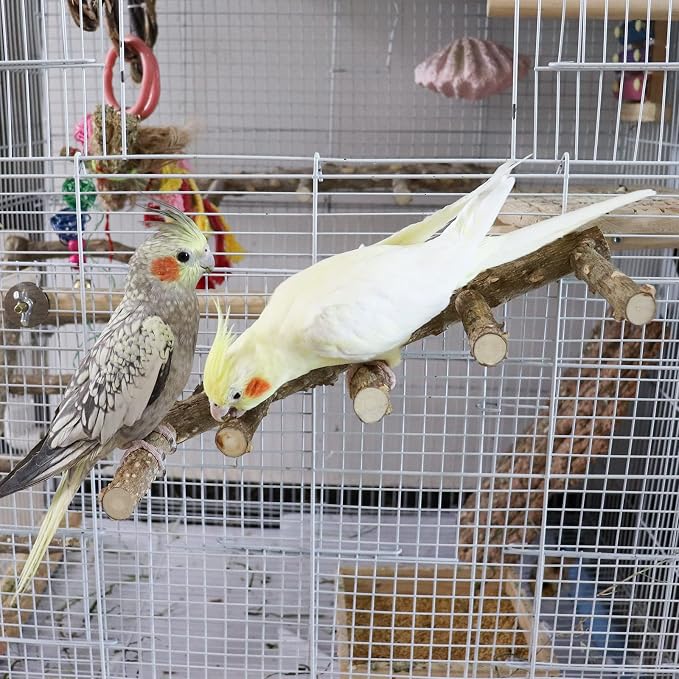 2 Pack Bird Ladder Perch for Cage, Parrot Perch Stand Toys, Natural Prickly Ash Wood Climbing Ladder, Cage Accessories for Small to Medium Birds Parakeets Cockatiels Rats Hamsters