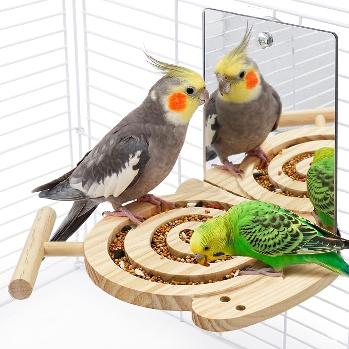 Bird Foraging Toys with Perch & Mirror, Easy for Novice/Older Birds | Kiln-Dried Wood Bird Enrichment Toy for Cage, Slow Feeder & Interaction Puzzle Toy to Reduce Seed Mess, Visible Food Design