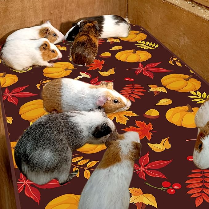 JarThenaAMCS 3 Pcs Guinea Pig Cage Liner Reusable Bunny Squirrel Mat Fall Maple Leaves Pumpkin Washable Small Animal Pee Pads for Autumn Rabbit Hamster Chinchilla Ferret Accessory, 24 x 47 in