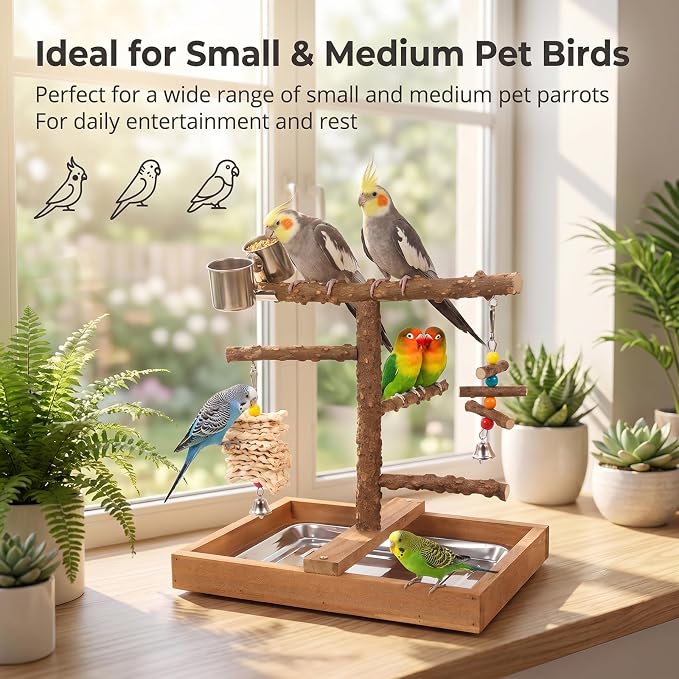 Natural Wood Bird Playground Stand,Bird Perch，Cockatiel Playground | Natural wooden bird stand, playground for small medium birds, feed cups, chew toys and practical removable tray