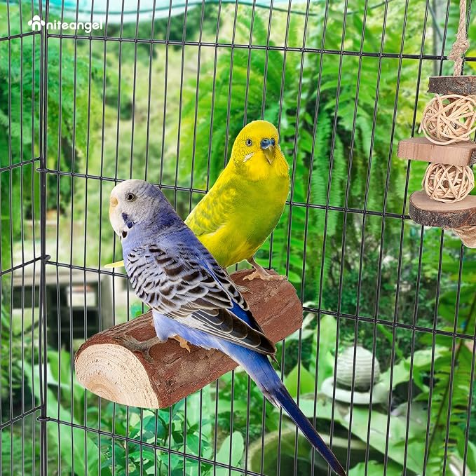 Niteangel Parrot Cage Perch, Wooden Platform for Birds (1 Pack)