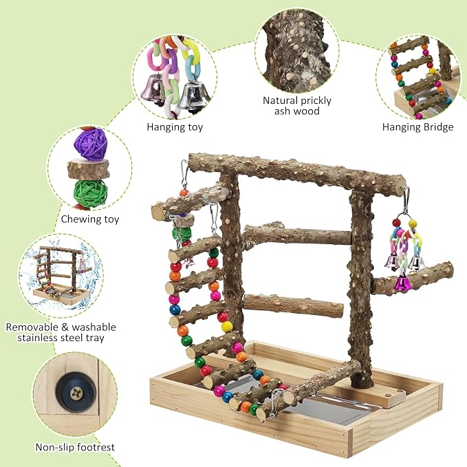 BNOSDM Natural Wood Bird Playground for Training & Playing, Parrot Perch Stand Jungle Gym with Hanging Bridge & Detachable Tray Parakeet Cage Playstand for Budgie, Cockatiel, African Grey