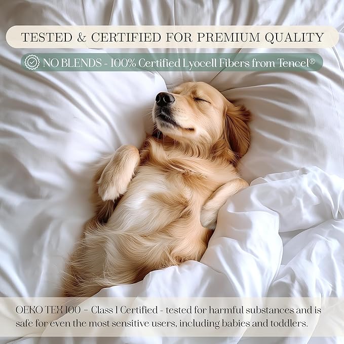 CASILVA Eucalyptus Sheets - Infused with Silver for Anti-Odor, Softer Than Silk Fibers, More Cooling Than Cotton - Perfect for Hot Sleepers & Sensitive Skin - 100% Tencel Lyocell - Twin Sheet Set