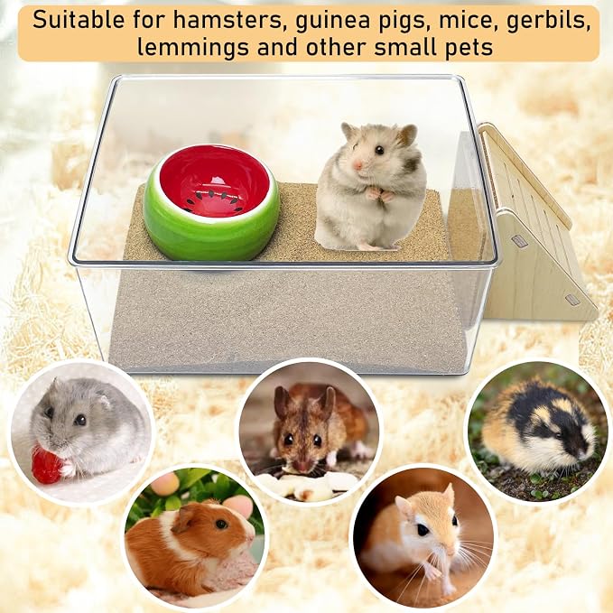 PINVNBY Hamster Sand Bath Box, Transparent Acrylic Sand Bath Shower, Gerbils Digging Room Container with Climbing Ladder and Ceramic Bowl, Litter Box for Hamsters Guinea Pigs Mice (Rectangle)