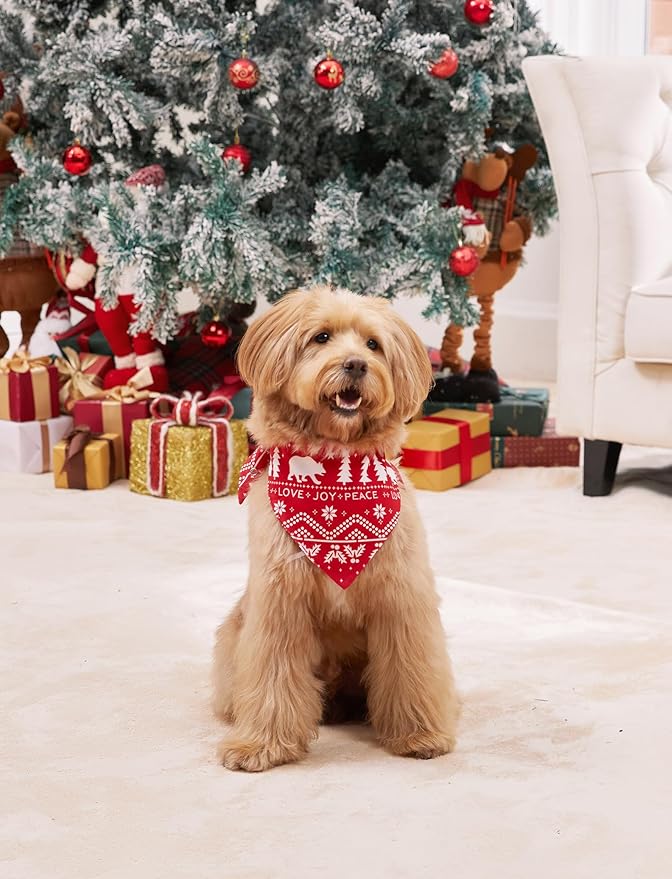 PATPAT Christmas Family Matching Pajama Sets Includes Christmas Socks - Perfect for Family Photos & Holiday Celebrations