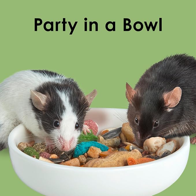 Kaytee Fiesta Mouse & Rat Food, Nutritious Blend, 4.5 Pounds | More mealtime fun. Mouse food blend. Fruits, veggies, rat enrichment