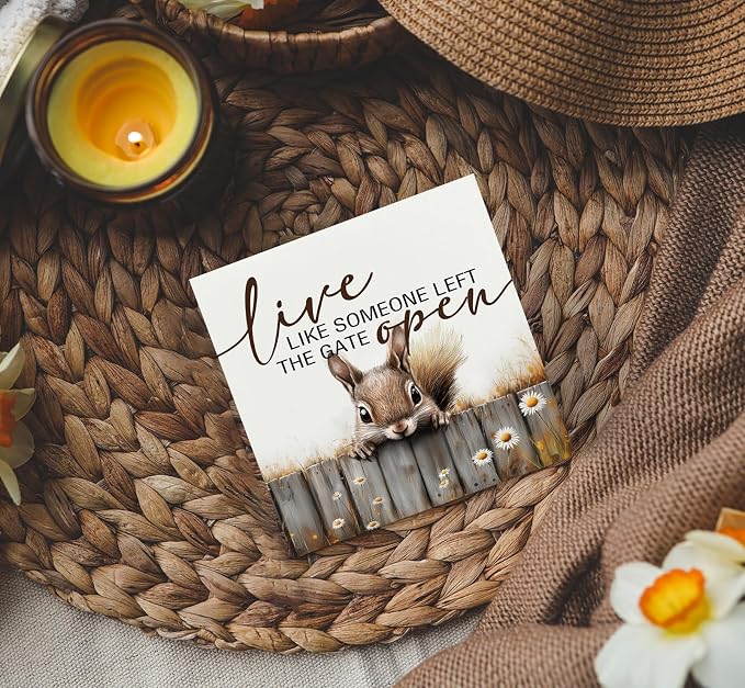Squirrel Sign - Squirrel Gifts For Women, Live Like Someone Left The Gate Open Wooden Box Signs, Farmhouse Wood Decoration Home Decor For Desk Table Shelf 5x5 Inch