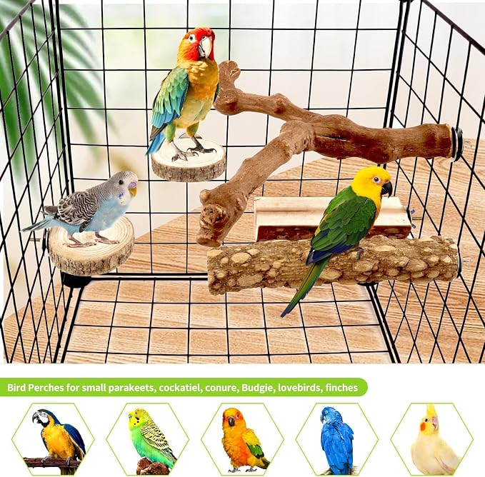 8 Pcs Natural Grape Wood Bird Perch & Platform Set for Cages | Ideal for Small/Medium Birds (Budgies, Conures) | Bark Textures for Foot Health | Tool-Free Wing-Nut | Safe Chewing