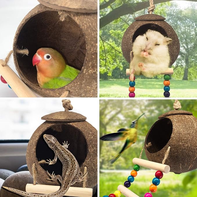 Hanging Coconut Birds House with Ladder, Natural Coconut Bird Nest | Coconut Hide Birds Swing Toys for Parrot Parakeet Lovebird Finch Canary for Hamster, Bird Cage Accessories, Pet Bird Supply