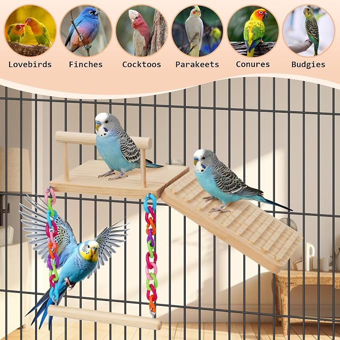 Bird Perches Platform Swing with Climbing Ladder Birds Toys Cage Accessories for Cockatiels, Lovebirds, Pacific Parrotlets,Chinchilla, Hamster Play Gym Exercise Stand
