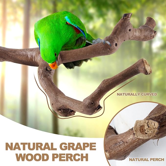 LIMIO 6-Piece Bird Perch Set - Natural Wood Grape Sticks, Paw Grinding Forks, Bird Stand & Toys for Parakeets, Cockatiels, Conure, Budgies