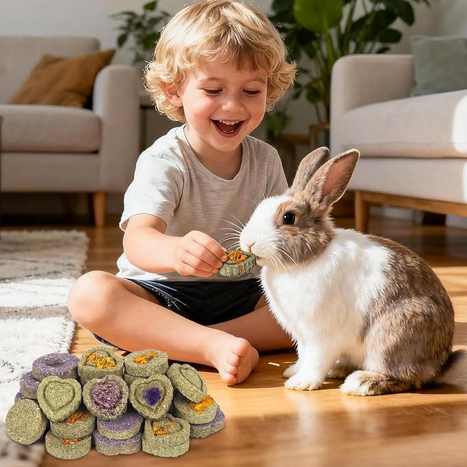 30PCS Guinea Pig Hay Grass Cake Food Set Natural Rabbit Chew Toys for Teeth | Hamster Toys, Bunny Chew Toys Timothy Hay Treats for Rabbits Chinchillas Rats, Small Animals Teeth Grinding