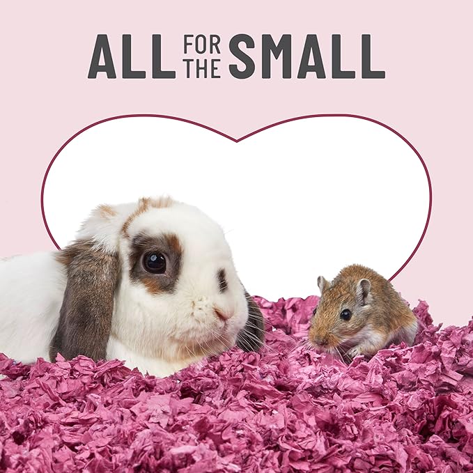 Kaytee Clean & Cozy Colors, Small Animal Bedding with Extreme Odor Control, Plum, 49.2 Liters