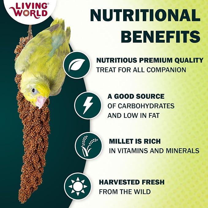Living World - Millet Spray for Birds, 5 Pounds | Premium Treat for Budgies, Canaries, Finches, Cockatiels and Other Pet Birds