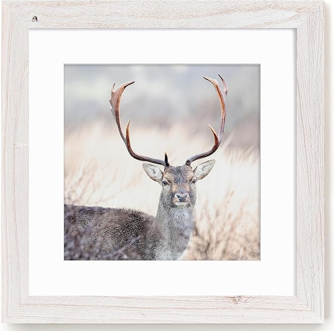 Fun Memories Square Wooden Picture Frame - 16x16 Tempered Glass, Wall Mountable, White, 1 Pack