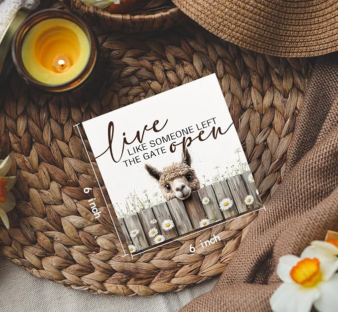 Alpaca Signs - Farm Cottagecore Animal Office Kitchen Bedroom Decor,Rustic Farmhouse Live like Someone Left the Gate Open Home Decor Signs,Alpaca Gifts for Women,6x6