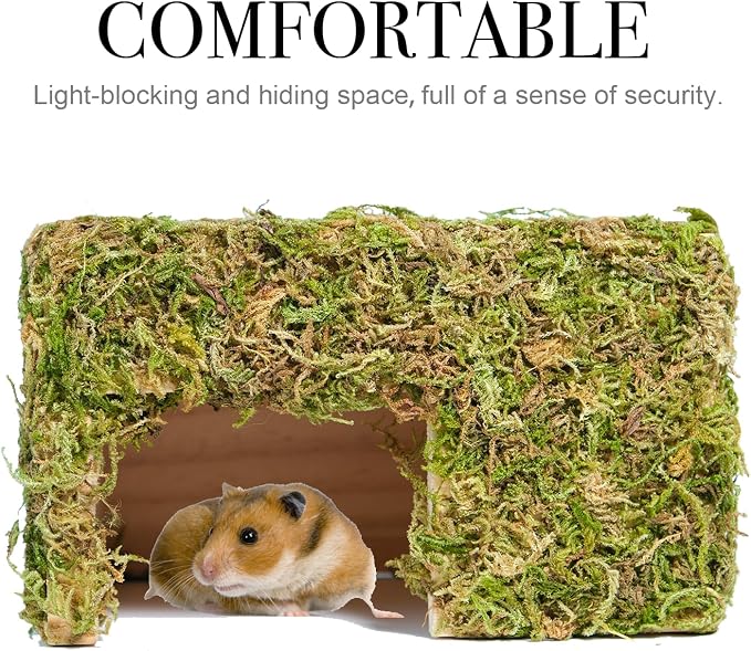 Hamster Hideout - Large, Natural Moss, Handcrafted for Syrian Hamsters, Rats & Guinea Pigs, Hermit Crab,Hedgehogs,Lizards & Other Reptiles（Square, Large）